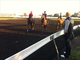 Ben Ingham at Rosehill trackwork